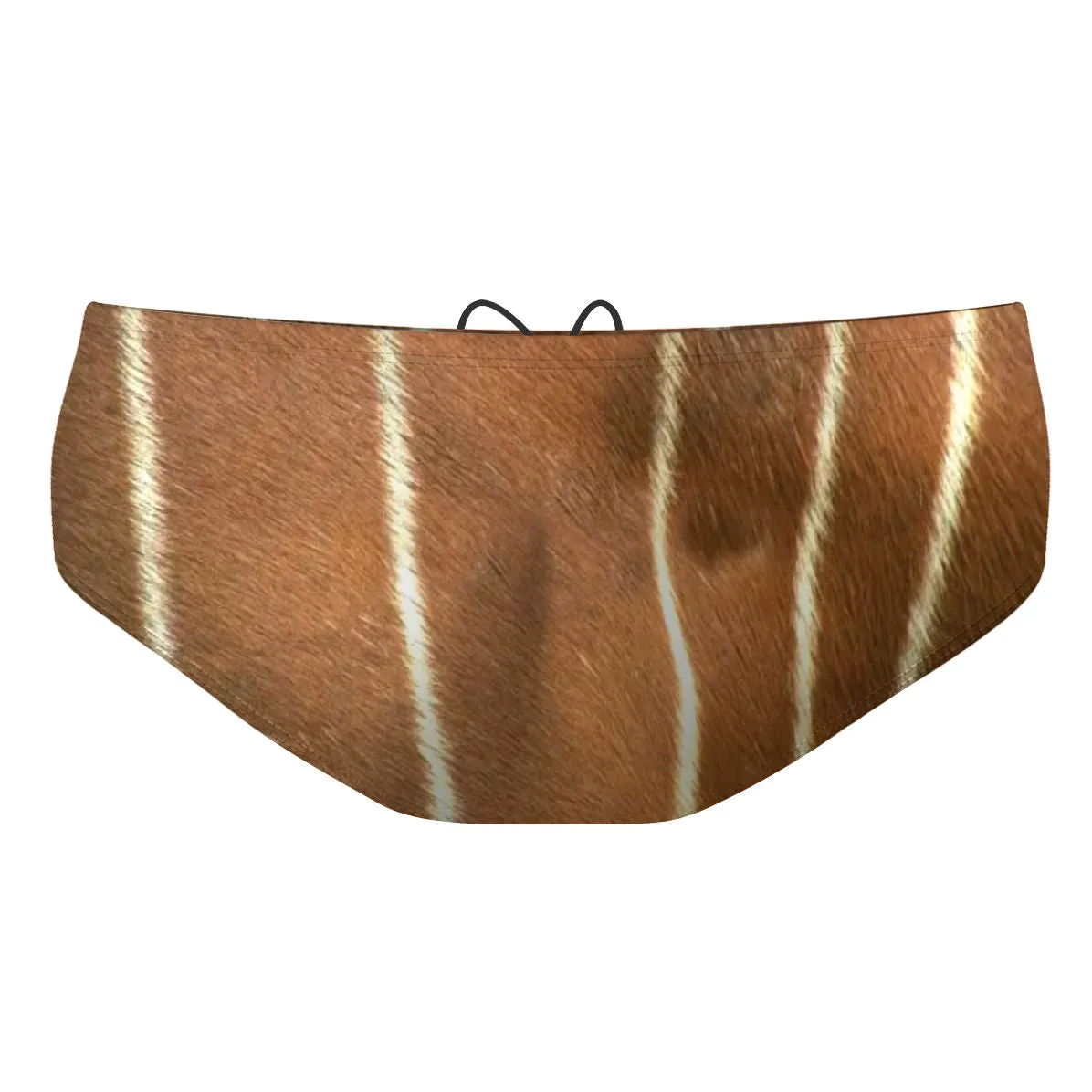 Animal hide design 1 - Classic Brief Swimsuit