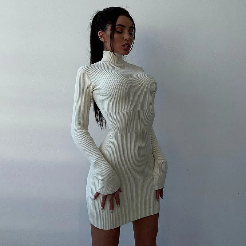 Ashley Long Sleeve High Neck Knitted Mini Dress