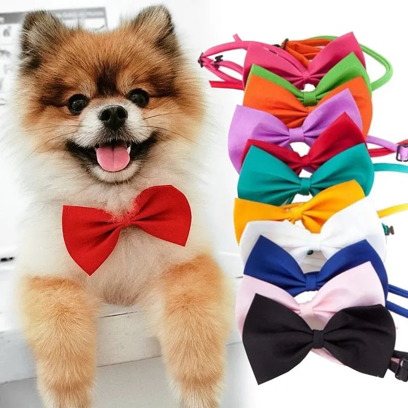 Classic Bow Ties