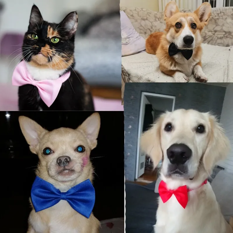 Classic Bow Ties