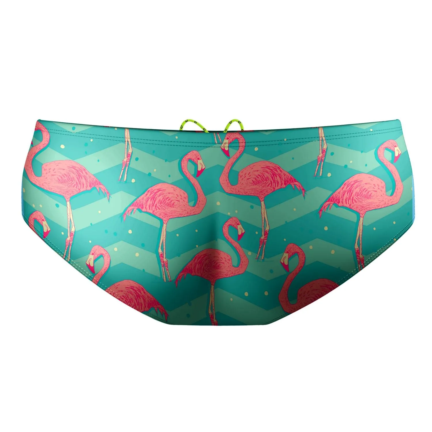 Flock of Flamingos Classic Brief Swimsuit