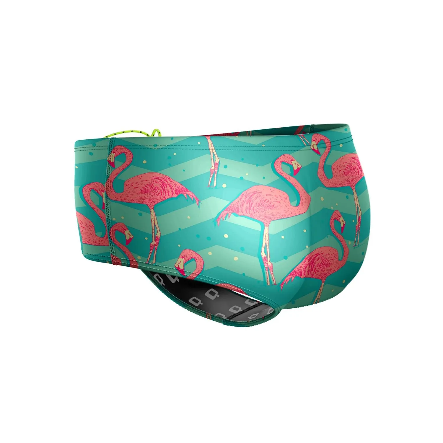 Flock of Flamingos Classic Brief Swimsuit