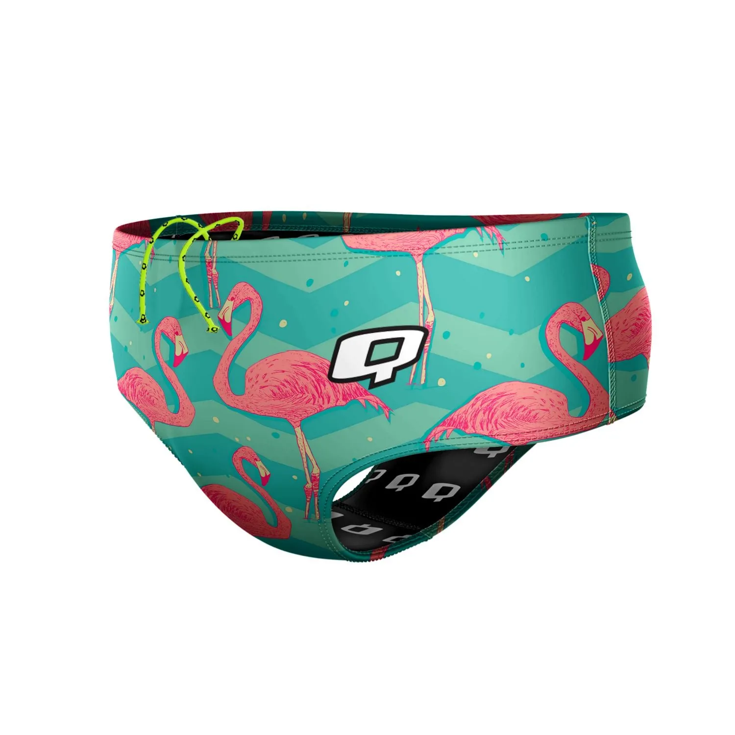 Flock of Flamingos Classic Brief Swimsuit