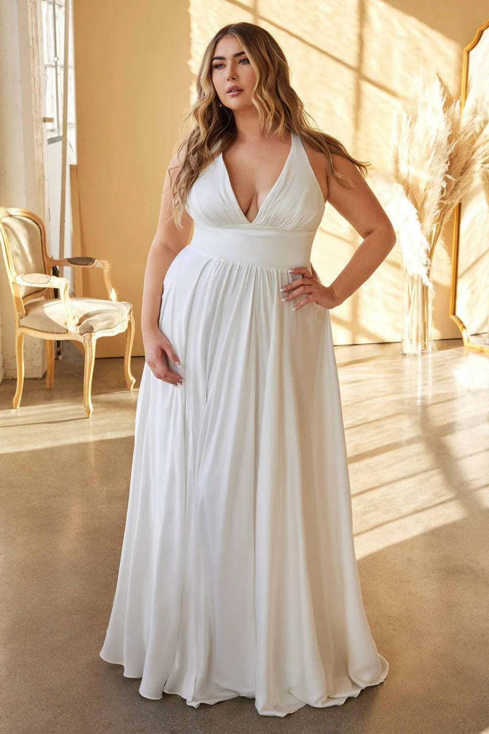 Plus Size A-Line Curvy Fitted Bodice V-Neck Long Wedding Dress CD7469WW